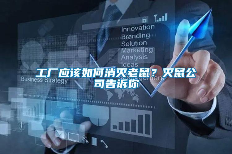 工廠應(yīng)該如何消滅老鼠？滅鼠公司告訴你