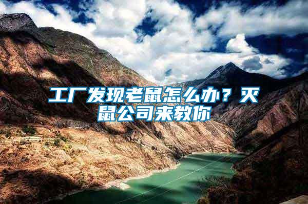 工廠發(fā)現(xiàn)老鼠怎么辦？滅鼠公司來(lái)教你