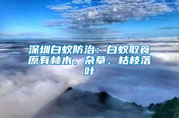 深圳白蟻防治：白蟻取食原有林木、雜草、枯枝落葉