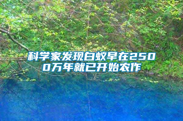 科學家發(fā)現(xiàn)白蟻早在2500萬年就已開始農(nóng)作