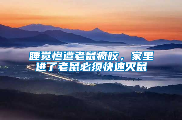 睡覺慘遭老鼠瘋咬，家里進了老鼠必須快速滅鼠