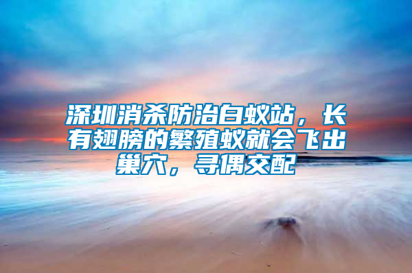 深圳消殺防治白蟻站，長(zhǎng)有翅膀的繁殖蟻就會(huì)飛出巢穴，尋偶交配