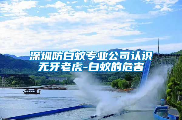 深圳防白蟻專業(yè)公司認識無牙老虎-白蟻的危害