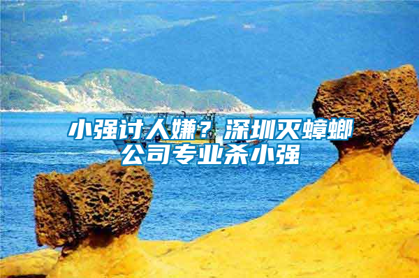 小強討人嫌？深圳滅蟑螂公司專業(yè)殺小強