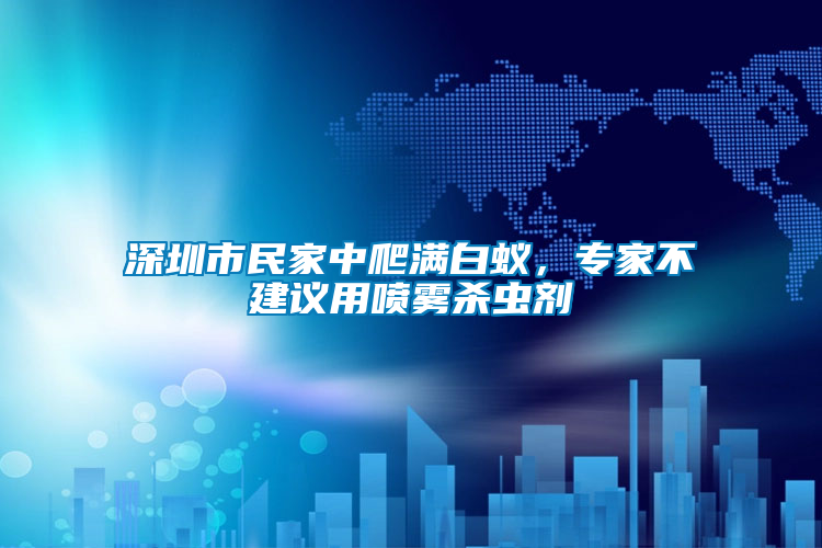 深圳市民家中爬滿白蟻，專(zhuān)家不建議用噴霧殺蟲(chóng)劑