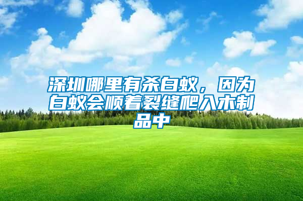 深圳哪里有殺白蟻，因為白蟻會順著裂縫爬入木制品中