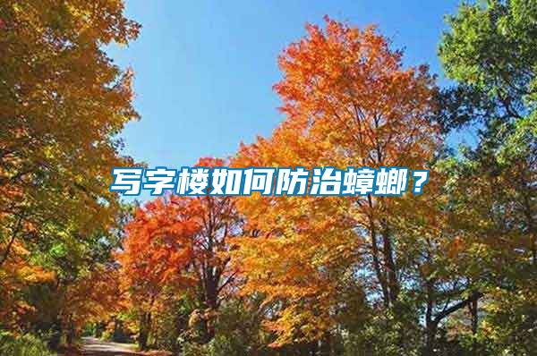 寫字樓如何防治蟑螂？