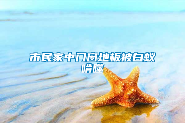 市民家中門(mén)窗地板被白蟻啃噬