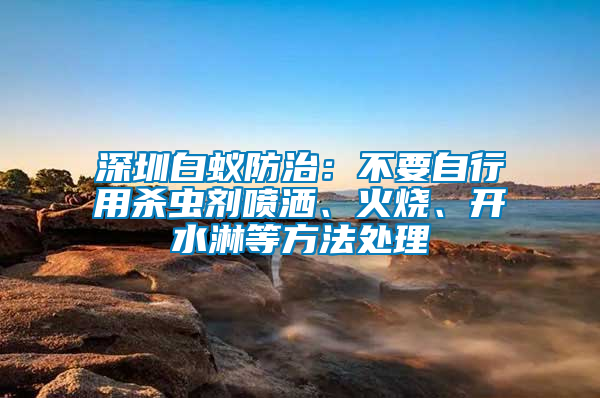 深圳白蟻防治：不要自行用殺蟲劑噴灑、火燒、開水淋等方法處理