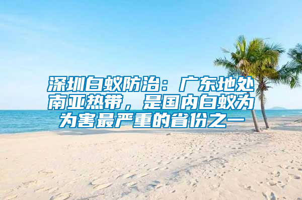 深圳白蟻防治：廣東地處南亞熱帶，是國(guó)內(nèi)白蟻為為害最嚴(yán)重的省份之一
