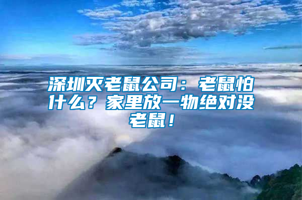 深圳滅老鼠公司：老鼠怕什么？家里放一物絕對沒老鼠！