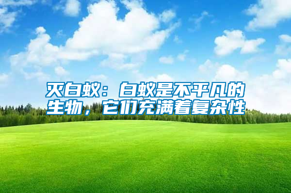 滅白蟻：白蟻是不平凡的生物，它們充滿著復雜性
