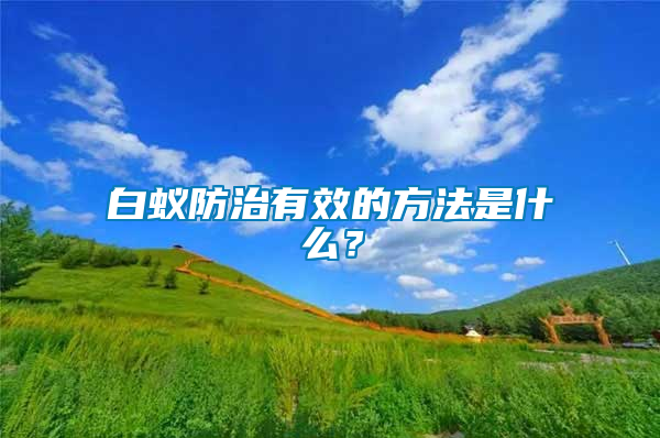 白蟻防治有效的方法是什么？