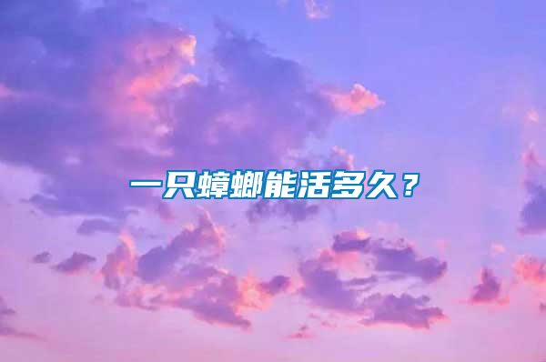一只蟑螂能活多久？