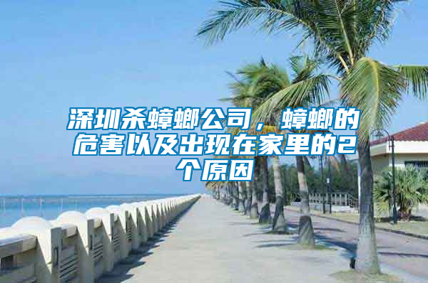 深圳殺蟑螂公司，蟑螂的危害以及出現在家里的2個原因